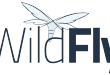 Configurazione SSL/HTTPS Wildfly Application Server