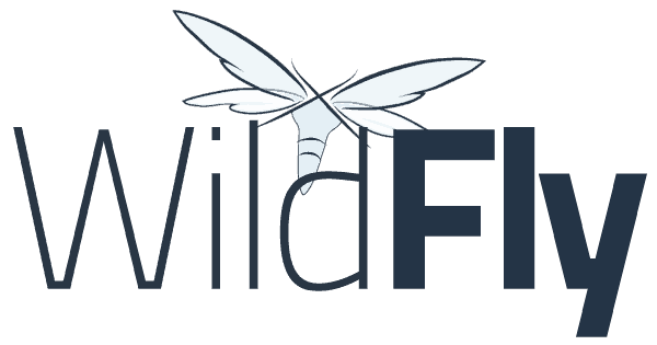 Configurazione SSL/HTTPS Wildfly Application Server